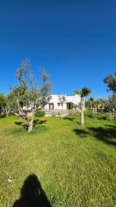 Belle villa piscine — photo 1