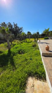 Magnifique Villa avec piscine — photo 8