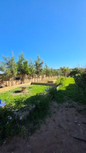 Magnifique Villa avec piscine — photo 10