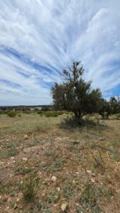 Terrain avec vue panoramique — photo 2